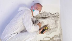 Mold Remediation Service